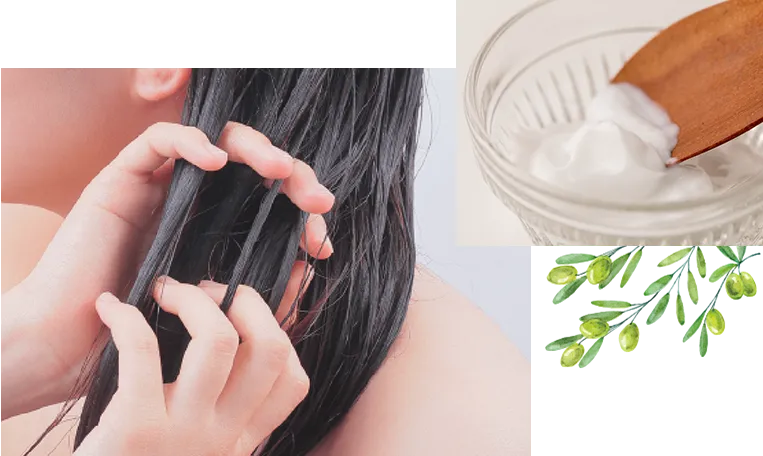 正しい使い方